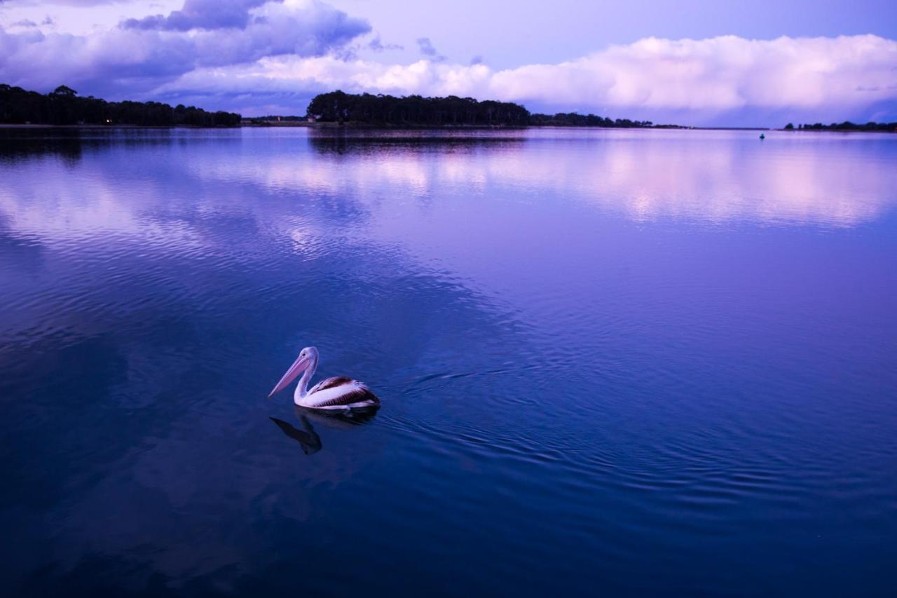 The Seabird Hotel Moruya Buitenkant foto